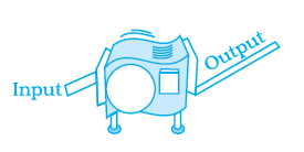 Page 266 Chapter 8 Class 8th NCERT Exemplar